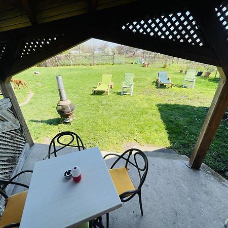 Greenpark Garden Villa Family Apartments Near Tokaj 세렌치 외부 사진