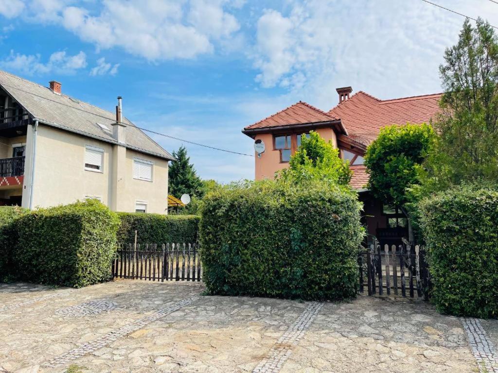 Greenpark Garden Villa Family Apartments Near Tokaj 세렌치 외부 사진