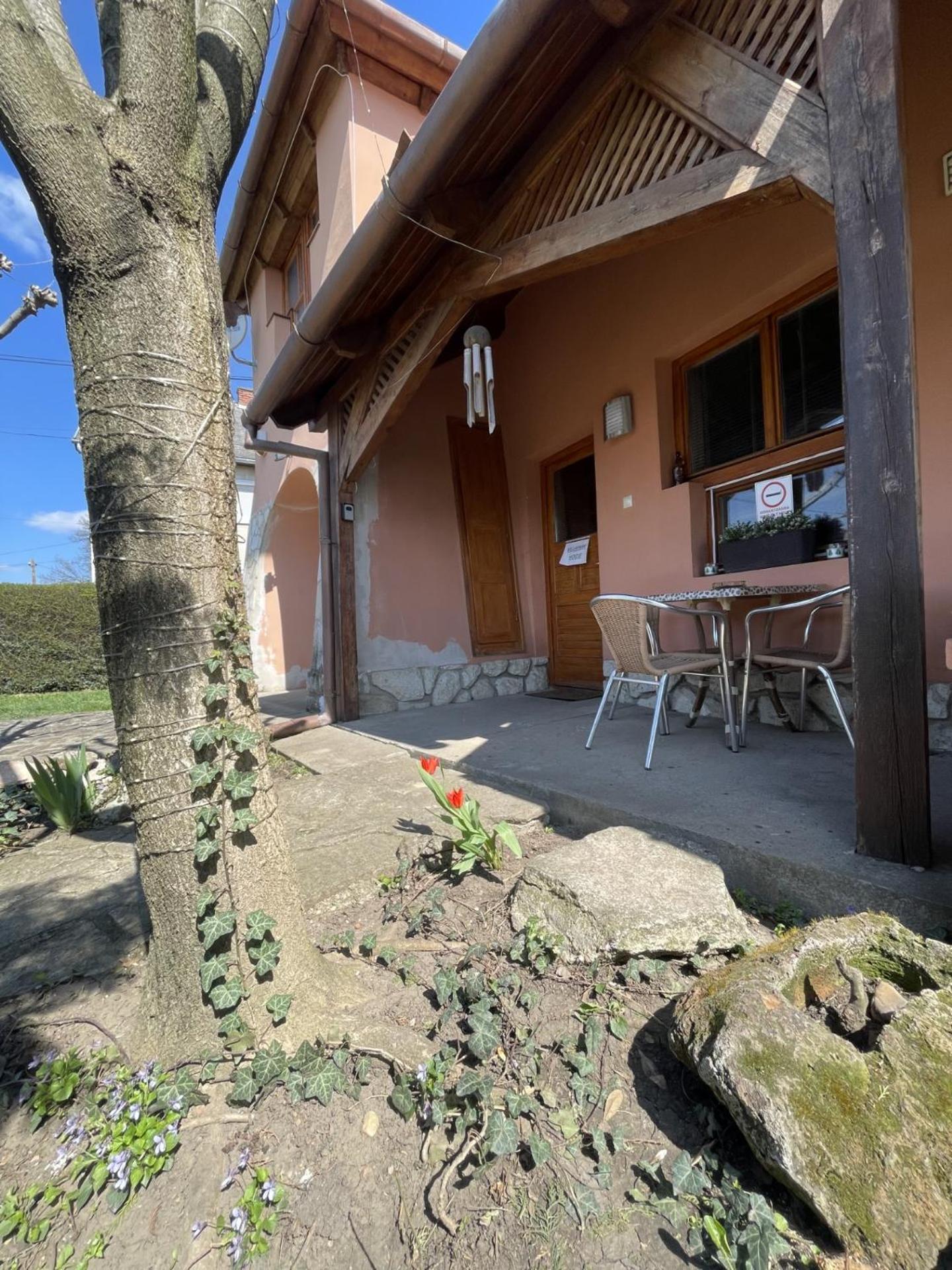 Greenpark Garden Villa Family Apartments Near Tokaj 세렌치 외부 사진